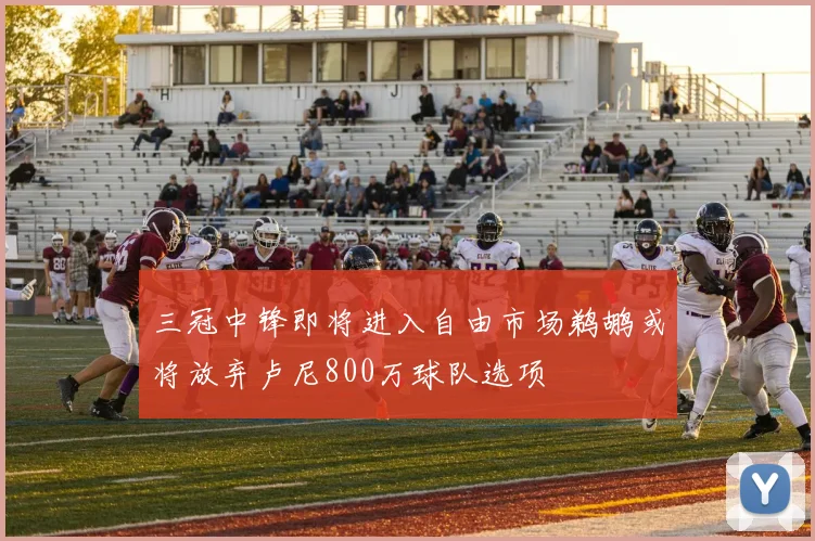 三冠中锋即将进入自由市场鹈鹕或将放弃卢尼800万球队选项